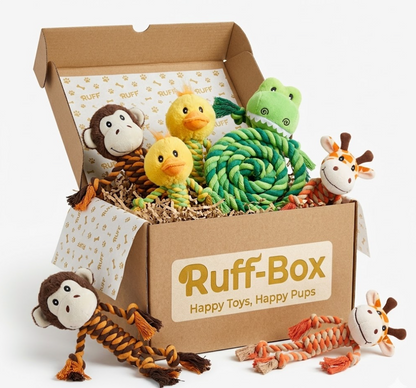 Ruff Box™ – The Ultimate Monthly Dog Toy & Treat Box 1